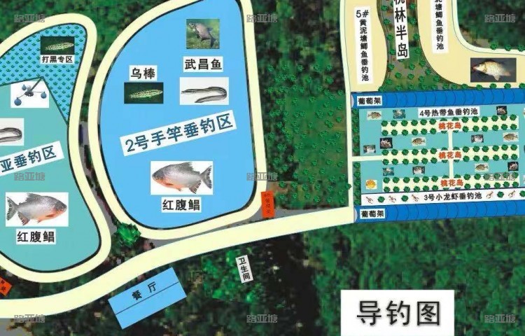 成都特种鱼钓场