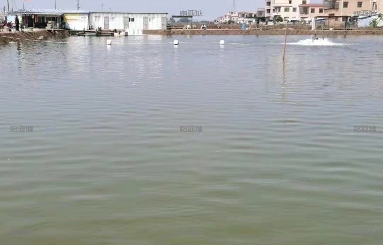 珠海陈记大物海钓场