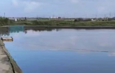 上海渣渣迷你路亚