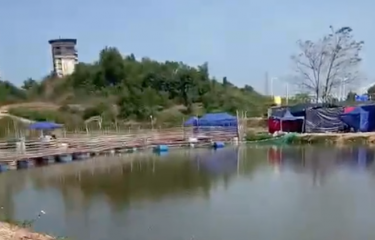 南宁哥锐假饵研究所