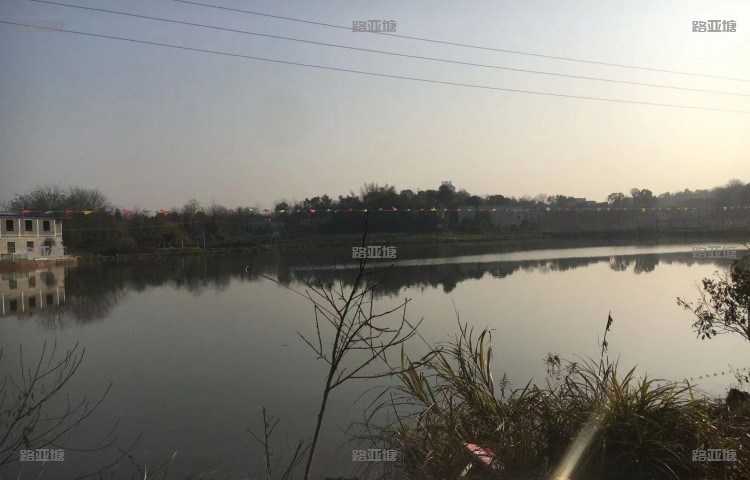 湘潭胡肖塘路亚基地
