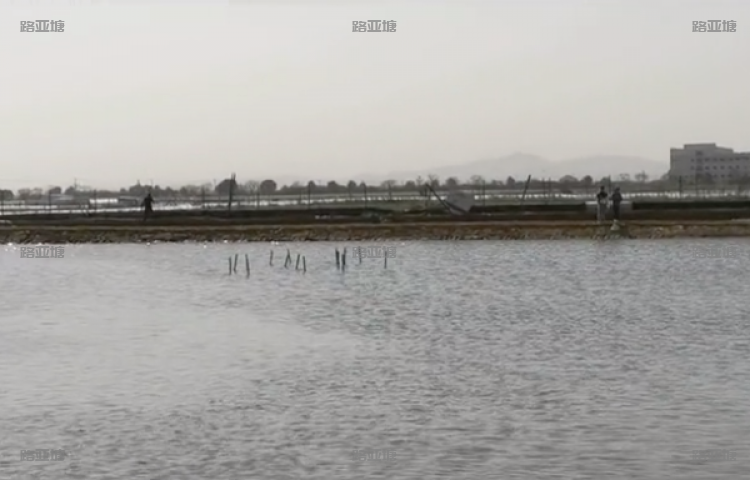 苏州光华路亚基地