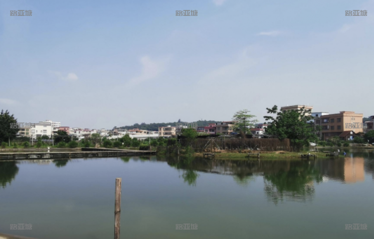 番禺莲花山孤鹰海钓场