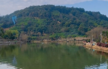 绍兴快活林路亚基地