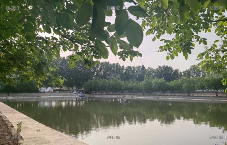 春和景明（北京）路亚休闲基地