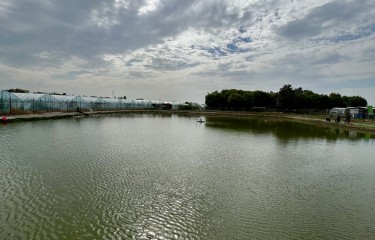 常州飞鱼路亚基地