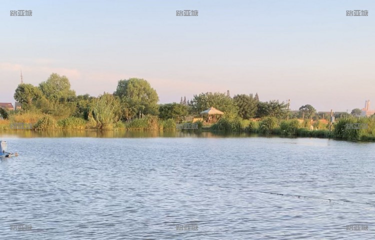 上海南池路亚练杆塘