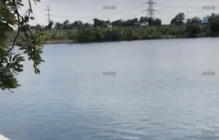 广州疯狂鱼乐圈钓鱼场