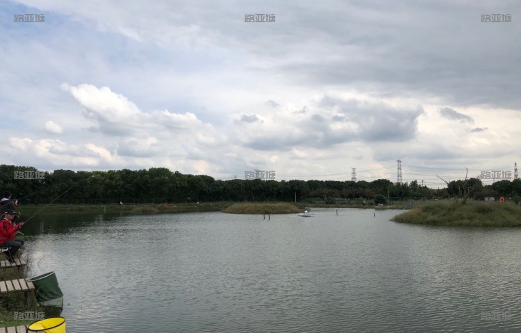 上海GT路亚基地