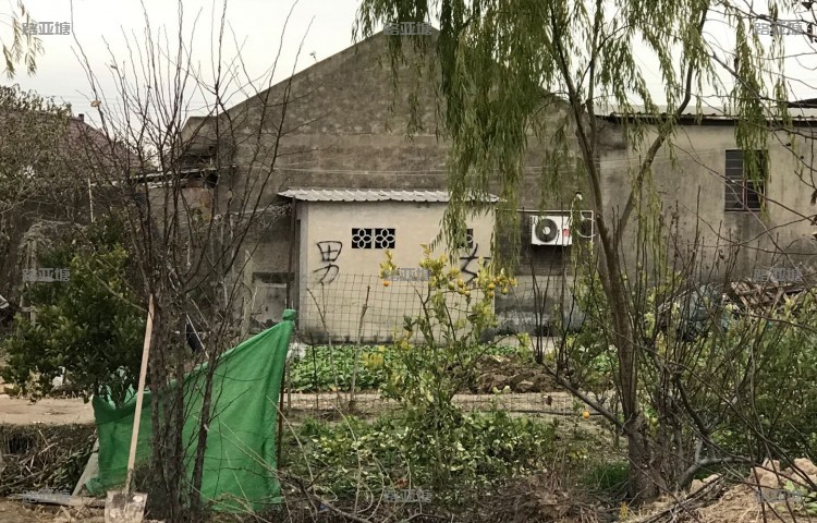 上海光明路亚