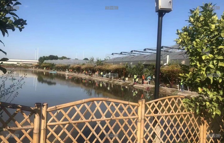 上海樽文路亚