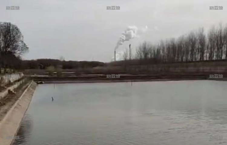 南京路亚方舟钓鱼基地