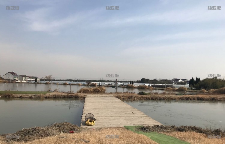 上海南池路亚练杆塘