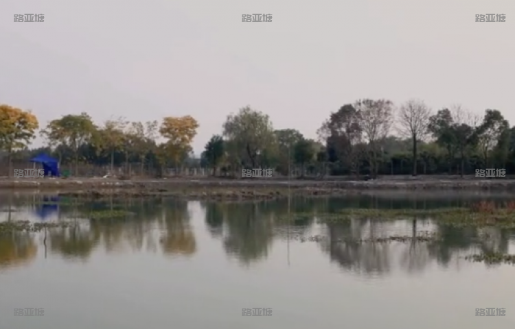 杭州阿拉丁路亚钓场