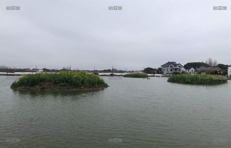 上海和风路亚基地