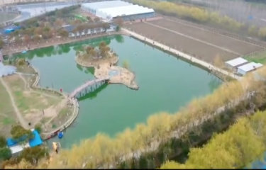 盐城和风路亚基地