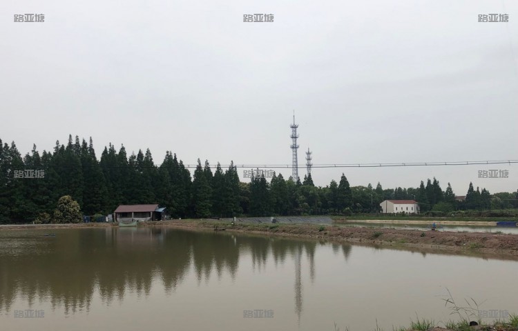 上海护海路亚基地