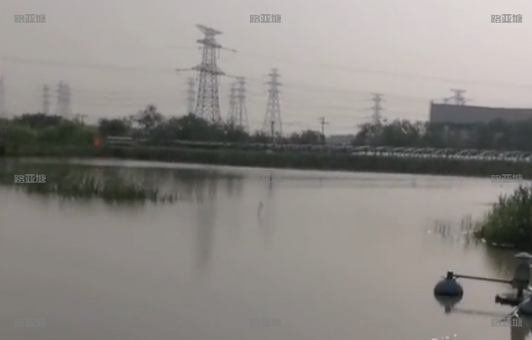 天津岭海福生路亚基地