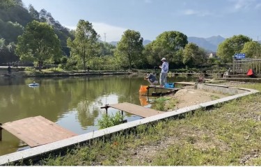 绍兴后岸路亚钓场