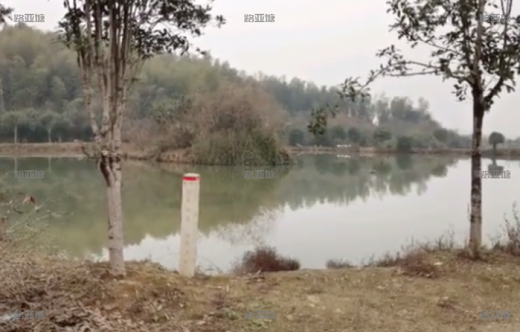 长沙湾子路亚基地