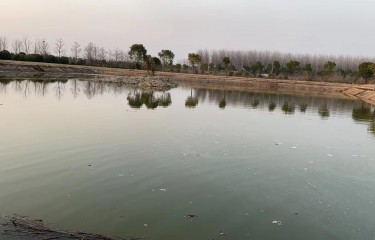 合肥冠军路亚基地