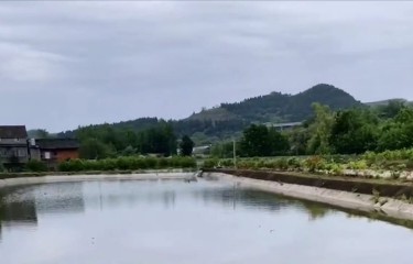 资阳明鹏路亚基地