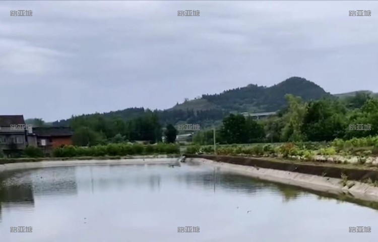 资阳明鹏路亚基地