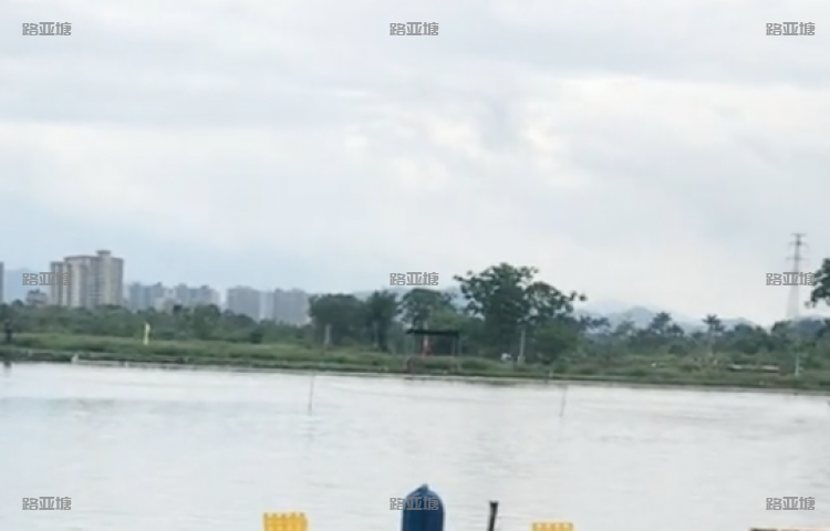 佛山名将路亚场