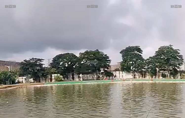 广州如意海钓场