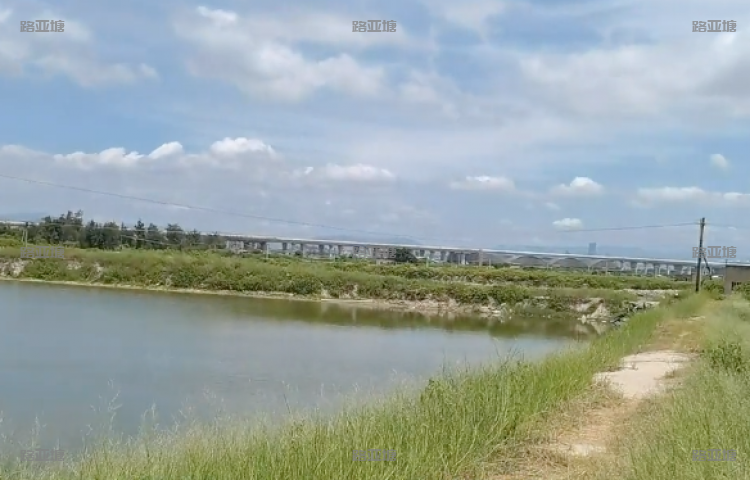 厦门星期八海钓基地