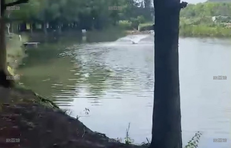 苏州周姑娘路亚基地