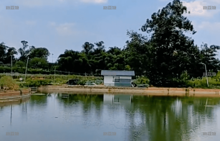 成都阳光路亚基地