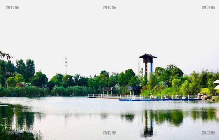 镇江有渔路亚基地