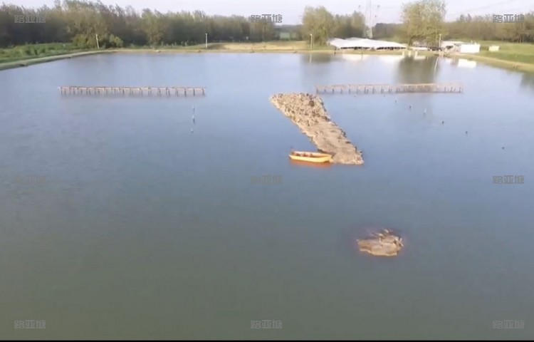 合肥旸谷路亚基地