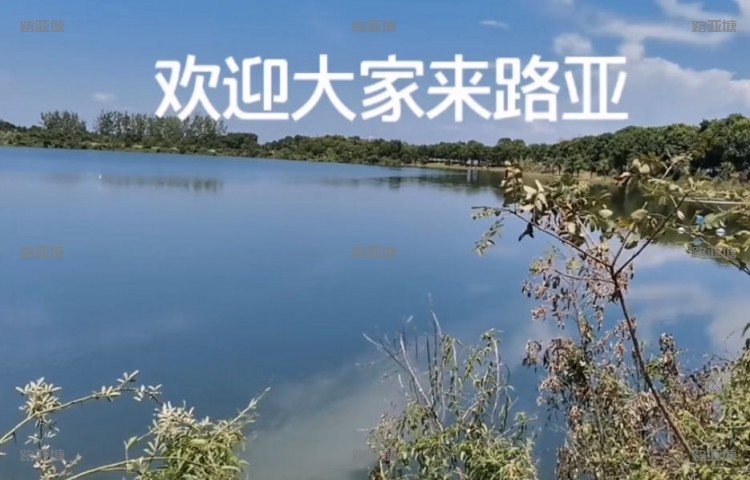 武汉梁子湖路亚钓场