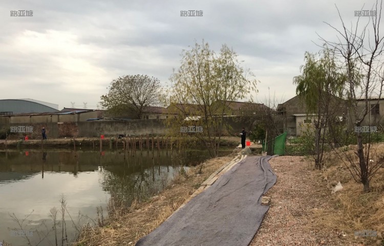 上海光明路亚