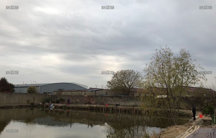 上海光明路亚