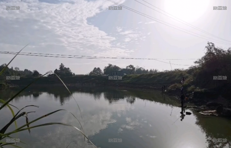 娄底松山路亚垂钓基地