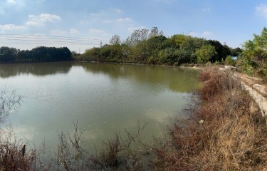 江阴BASS路亚基地