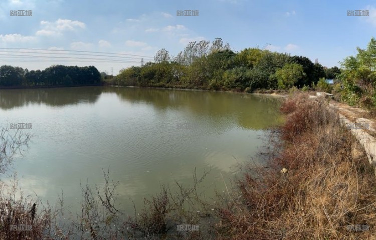 江阴BASS路亚基地