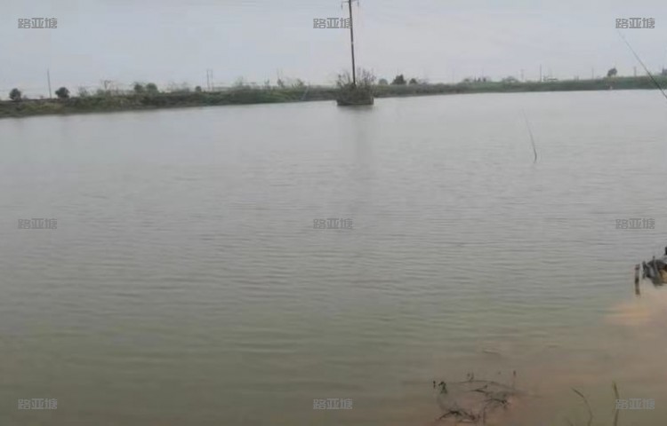 江西鄱阳了了路亚基地