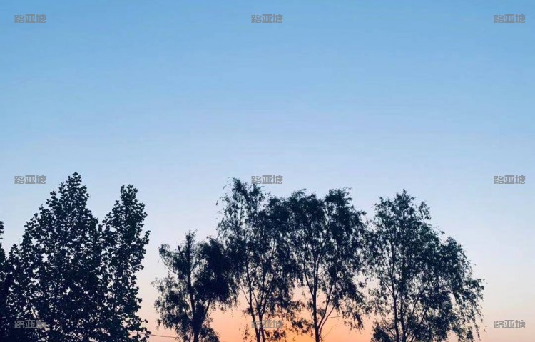 大连山水鱼庄