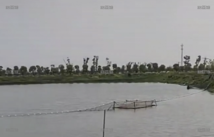 常州鸭子钓场