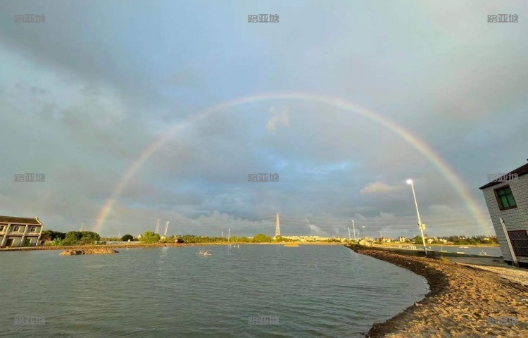 上海尼际路亚