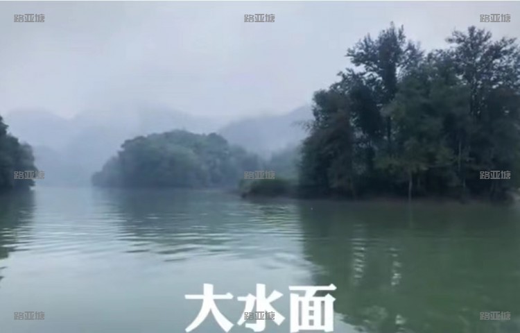 宁德福鼎柏悦路亚