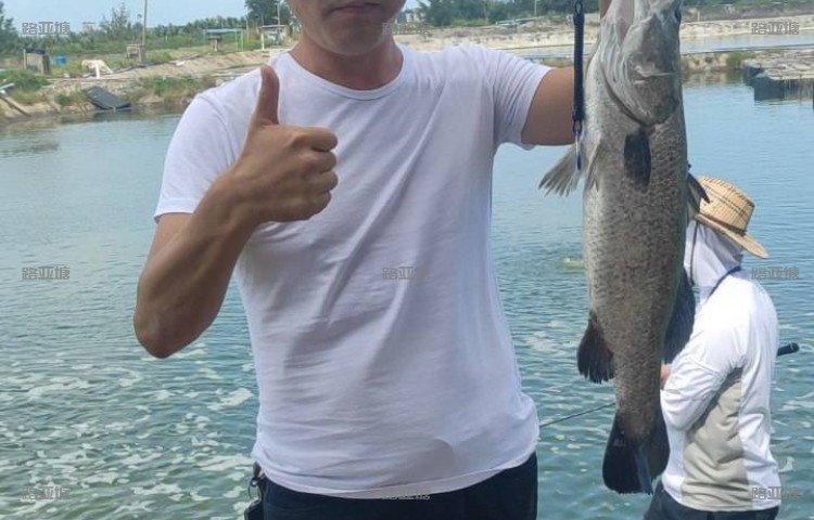 海口飞龙海钓会