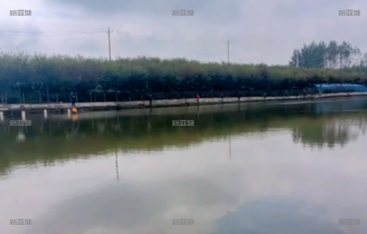 武汉蔡甸金鸡路亚基地