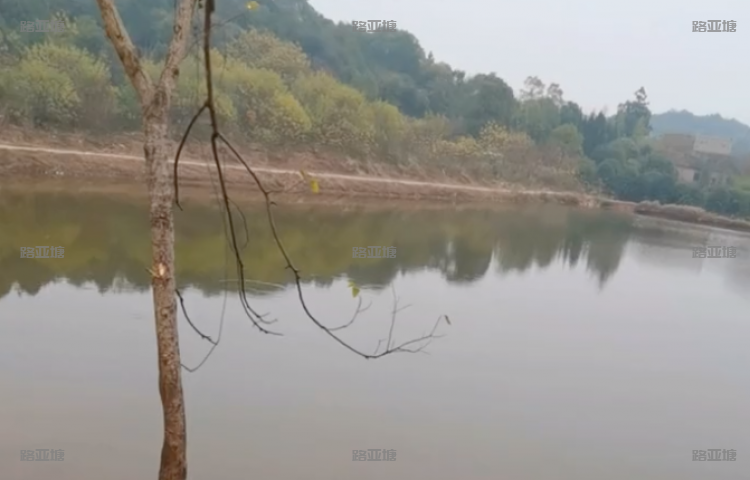 湘潭剪刀塘路亚(广缘德)
