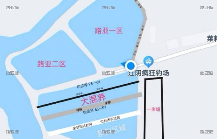 江阴疯狂钓场