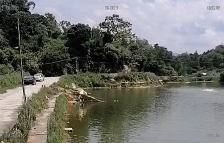 粤西云浮古宠路亚场